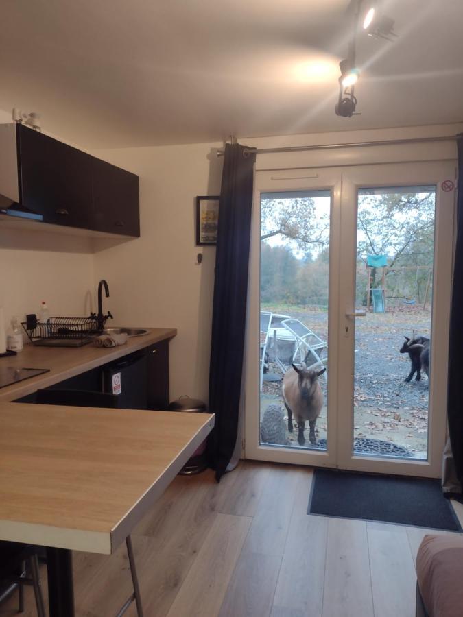 Studio En Vallee Du Loir 20Km Du Zoo Saint-Jean-de-la-Motte Εξωτερικό φωτογραφία